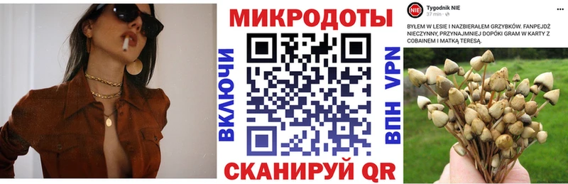 Псилоцибиновые грибы прущие грибы  Пойковский 